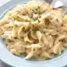 Delicious Crockpot Chicken and Noodles with creamy sauce and egg noodles in a bowl.