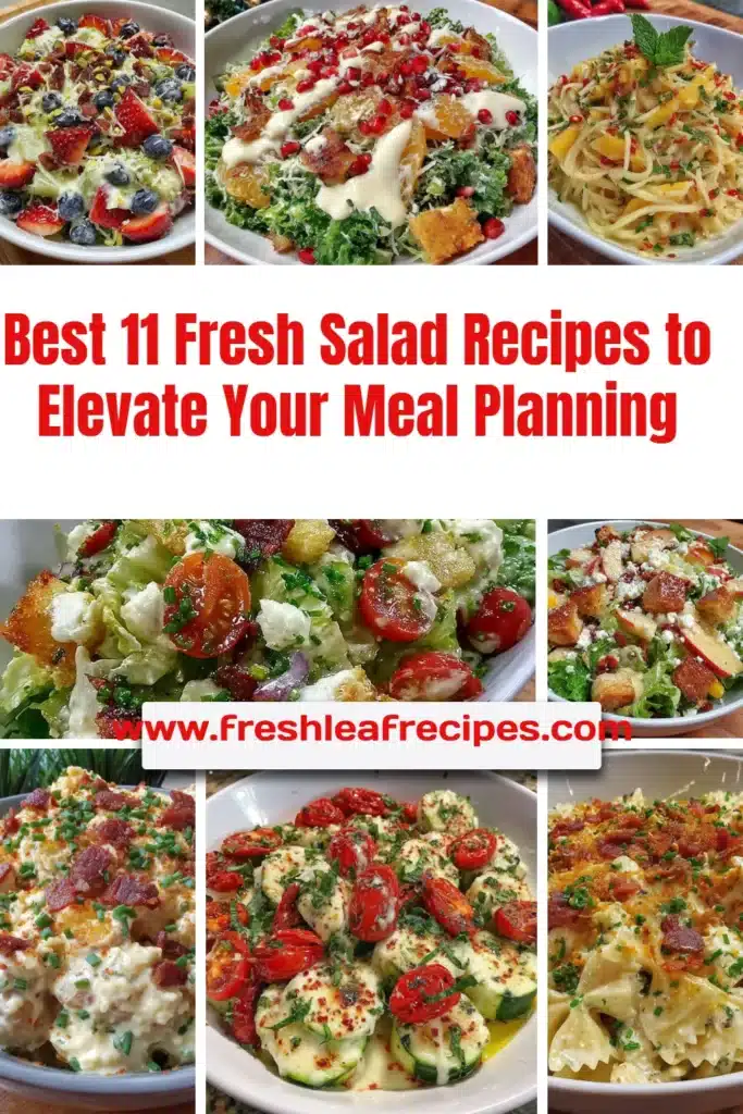 Delicious fresh salad recipes for meal planning and healthy eating