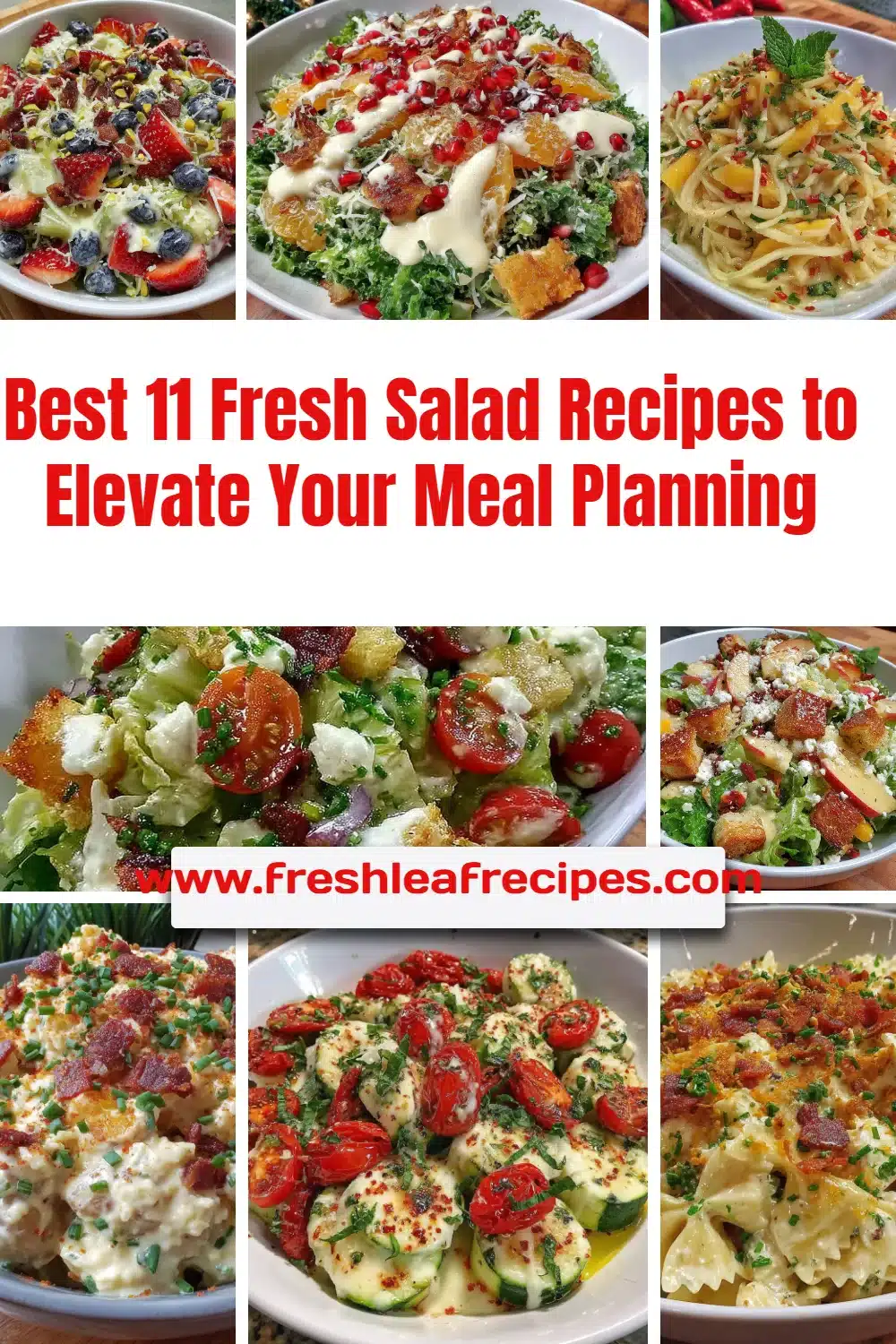 Delicious fresh salad recipes for meal planning and healthy eating