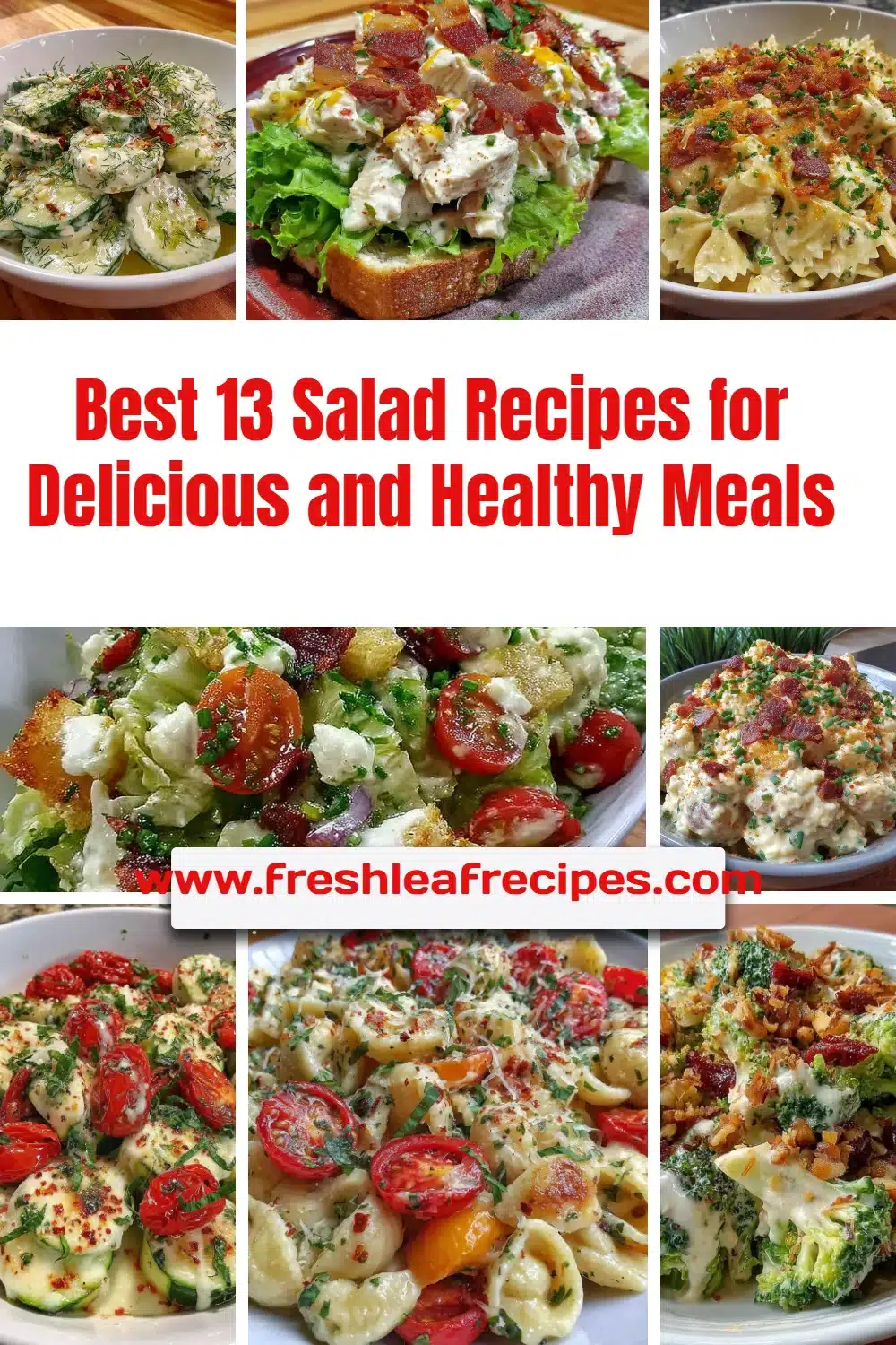 A colorful variety of healthy salad recipes showcasing fresh ingredients.