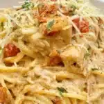 Chicken Spaghetti With Rotel Easy One Pot Dinner T 2026 09 21 154724 1024x683 1